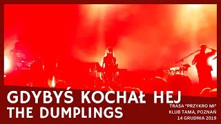 The Dumplings - Gdybyś kochał hej (Breakout) (Trasa "Przykro mi", Tama, Poznań 2019)