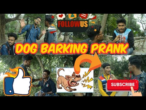 dog-barking-prank-by-mad-in-india