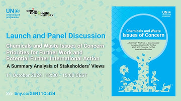 Launch & Discussion | Chemicals & Waste Issues of Concern: A Summary Analysis of Stakeholders’ Views