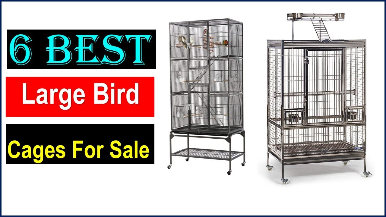 Photo inspiration: Fresh Look at Best Large Bird Cages For Sale You Can Buy