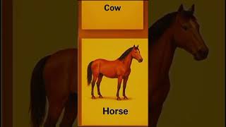 "Ocean Giant vs Land Giant– Whale Shark vs Horse!""Whale Shark vs Giant Horse–Who’s the True Giant?"