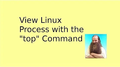 View Linux Processes with top