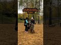 Научили за 3 минуты собаку, которая впервые услышала слово «голос» 😁 #дрессировкасобаки