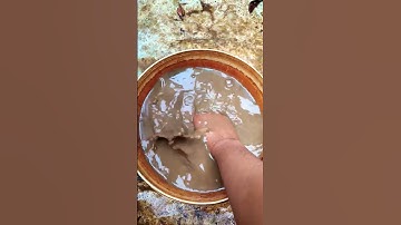 Ik vertrouw er altijd op #shorts #feedshorts #subscribe