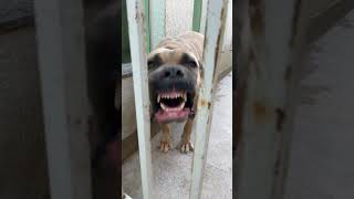 Top Top🐺❤️🐺