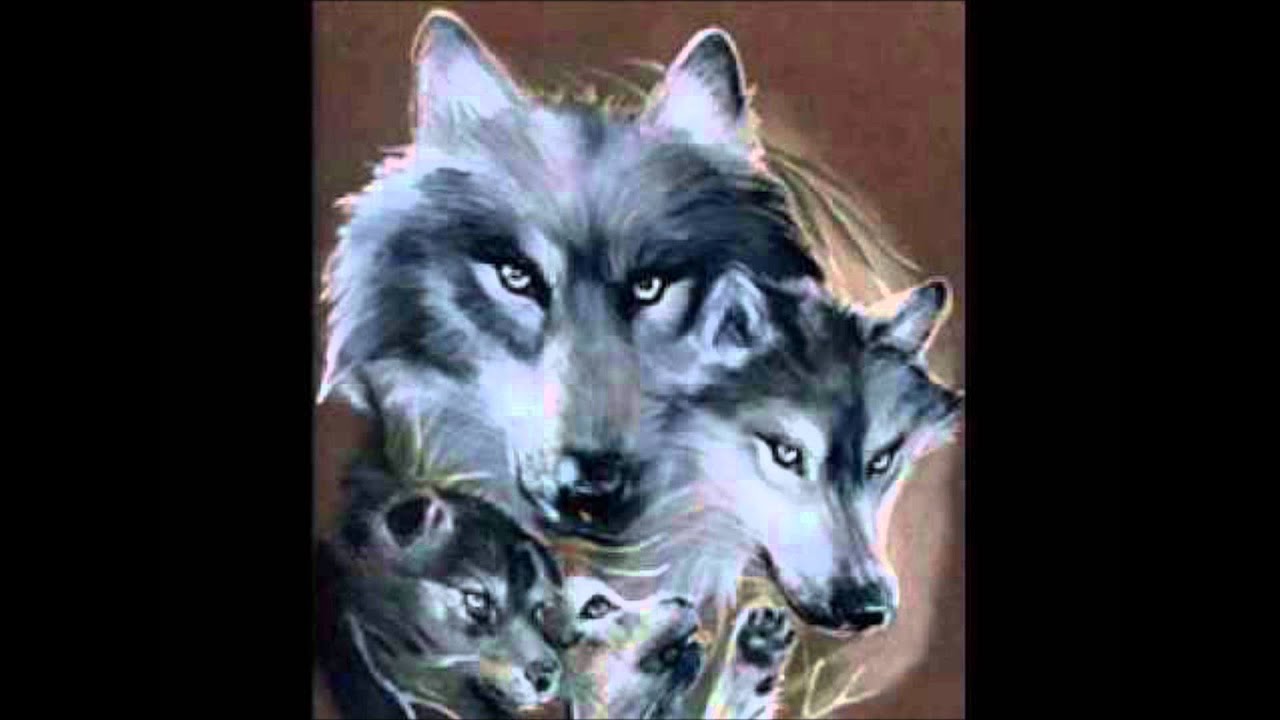 Meshikamau - Tshin Nituassim