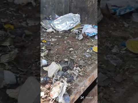 شاهد غش عمال النظافة في بيع السكراب تراب وحجار