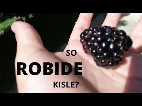 Video: Kako so kisle?