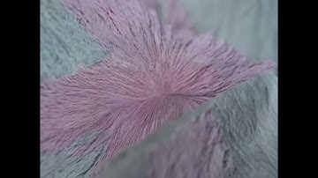 Fabric Zoom | Macro Zoom