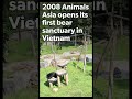Animals Asia: 25 years of Kindness In Action Part I