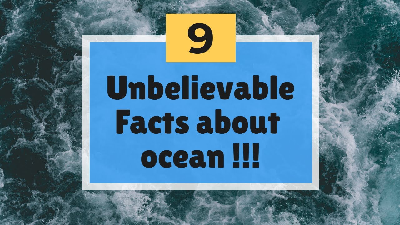 9 unbelievable facts about ocean - YouTube