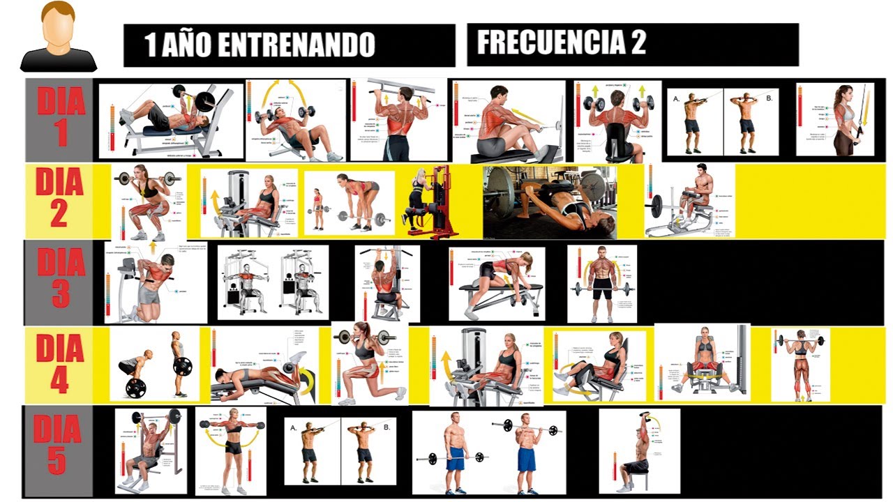 ¿Cómo diseñar un MESOCICLO de Entrenamiento para GANAR masa MUSCULAR?