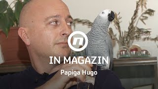 Papiga Hugo Govori Više Od Dvije Tisuće Riječi - In Magazin