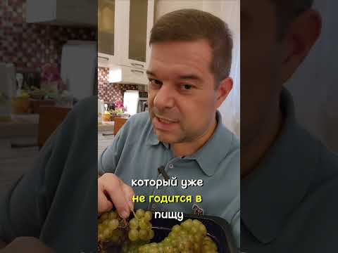 Как выбрать правильный виноград для вина 🍇🍷