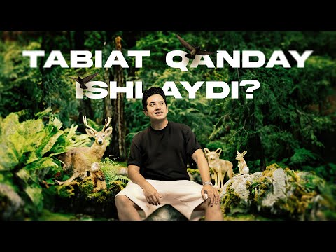 Video: Chaqiruvchi daraxt qanday ishlaydi?