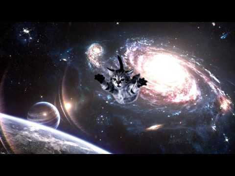 catstep---dubstep-cat-{royalty-free}