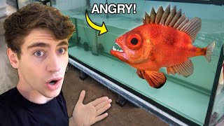 FEEDING A MONSTER FISH... (insane fish store!!)