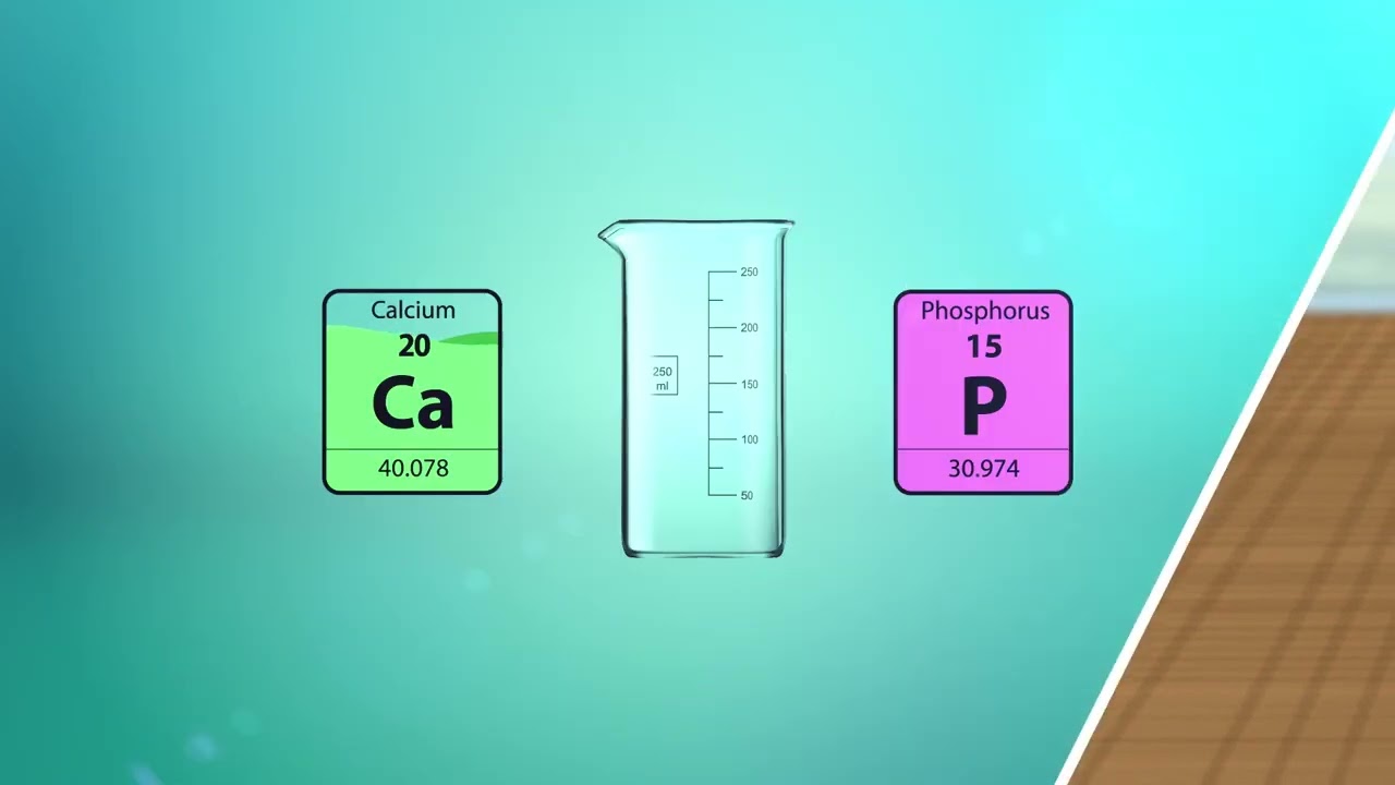 ATAMI B'Cuzz Basic Nutrients