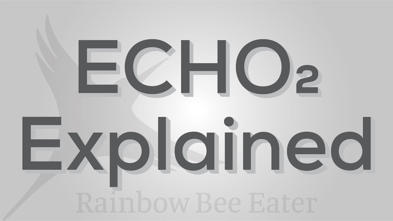 Rainbow Bee Eater Echo2 Explained Youtube