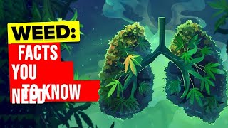 Famous Weed Expert Spills 50 Insane Facts About Marijuana Profile