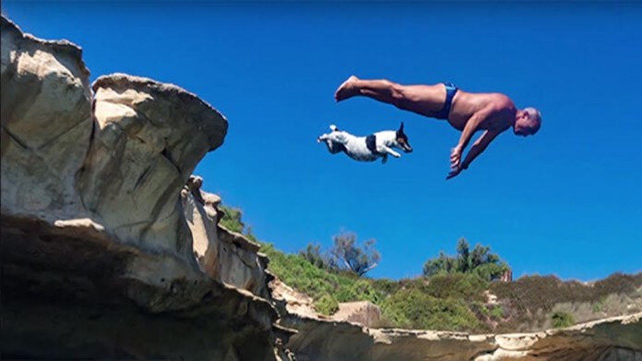 Titti, A Six Years Old Dog Ran As Fast As She Could To…Jump Off The ...