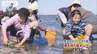 寒さ忘れてアサリ探し　潮干狩り場オープン　千葉(14/03/15)