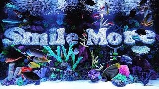 Smile More White Roman Atwood