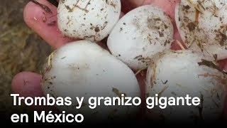 Granizo gigante en México - Clima - En Punto con Denise Maerker