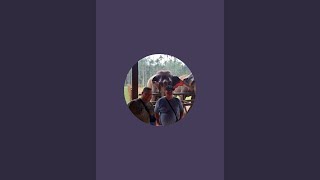 My channel is dying 😭 any suggestions?