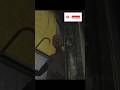 Granny 2 Boat Escape Mission #granny #trending #shorts #hororgames #games