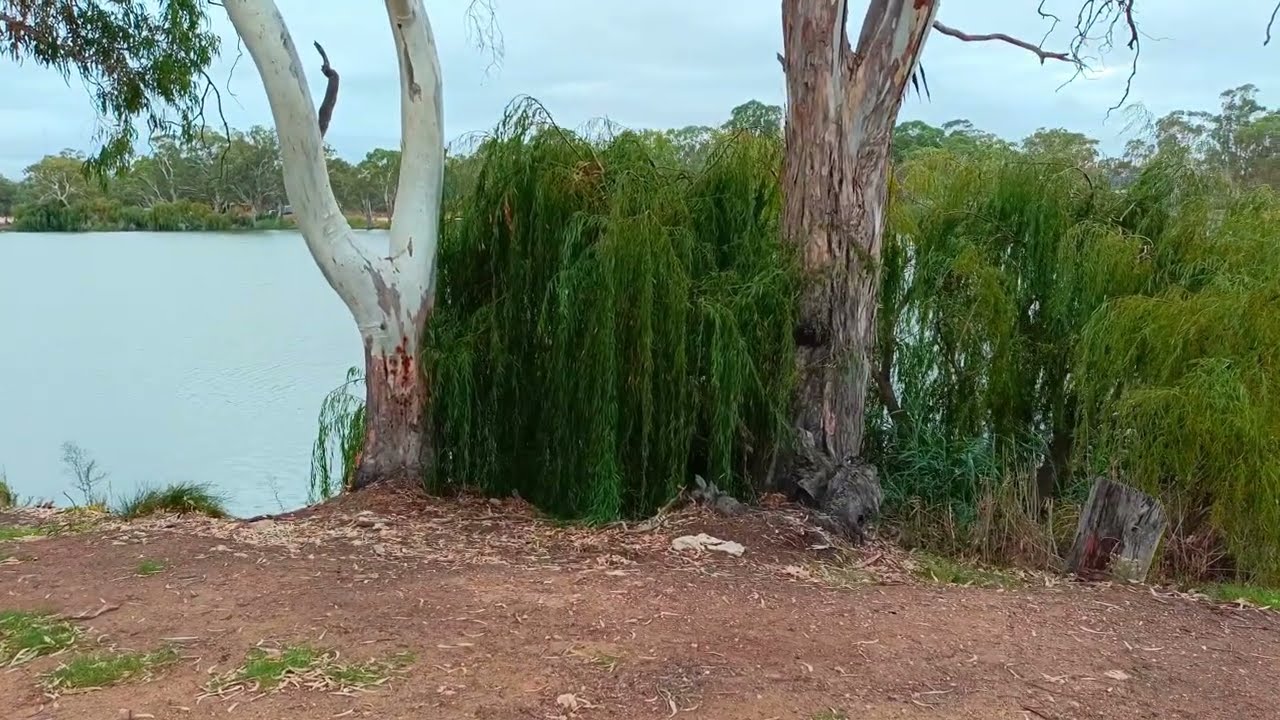 The Murray River Blanchetown & Blanchetown Lock