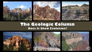 GC B8 Does the geologic column show evolution