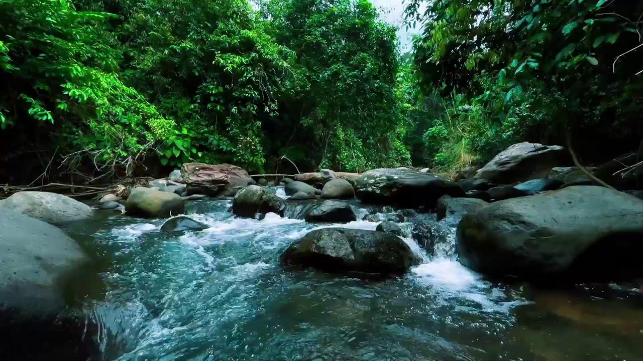 Rushing River in Deep Jungle – Relaxing Nature Sounds for Sleep, Stress Relief & Mental Clarity