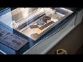 Hands-On with the Glowforge Laser Cutter!