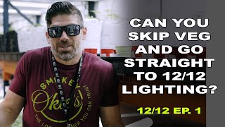 Growing in Red Solo Cup, Ep. 1: Seedlings are 5 days old | Can you skip 18/6 light cycle?