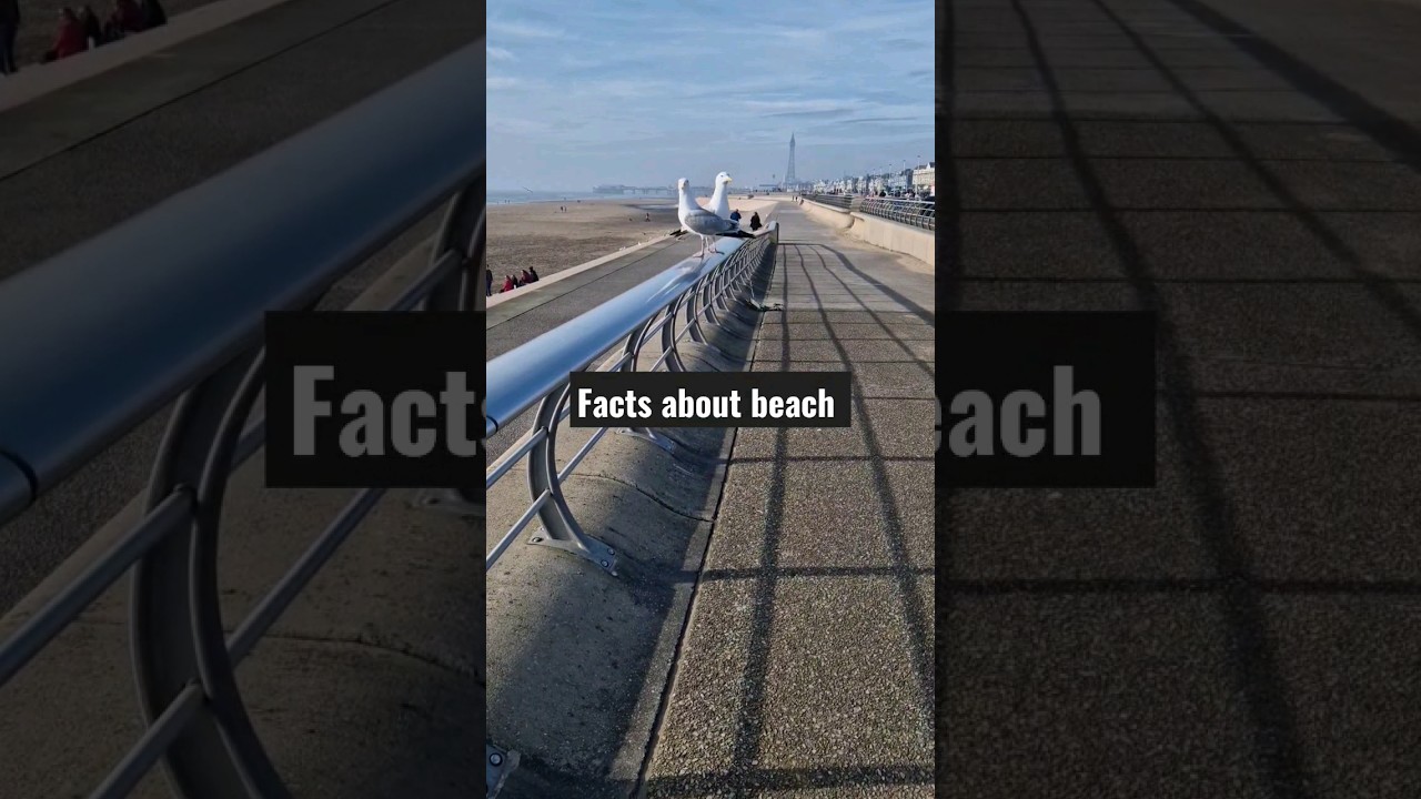 facts about beach 