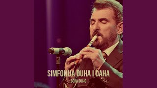 Zov Za Nedostižnom Lepotom