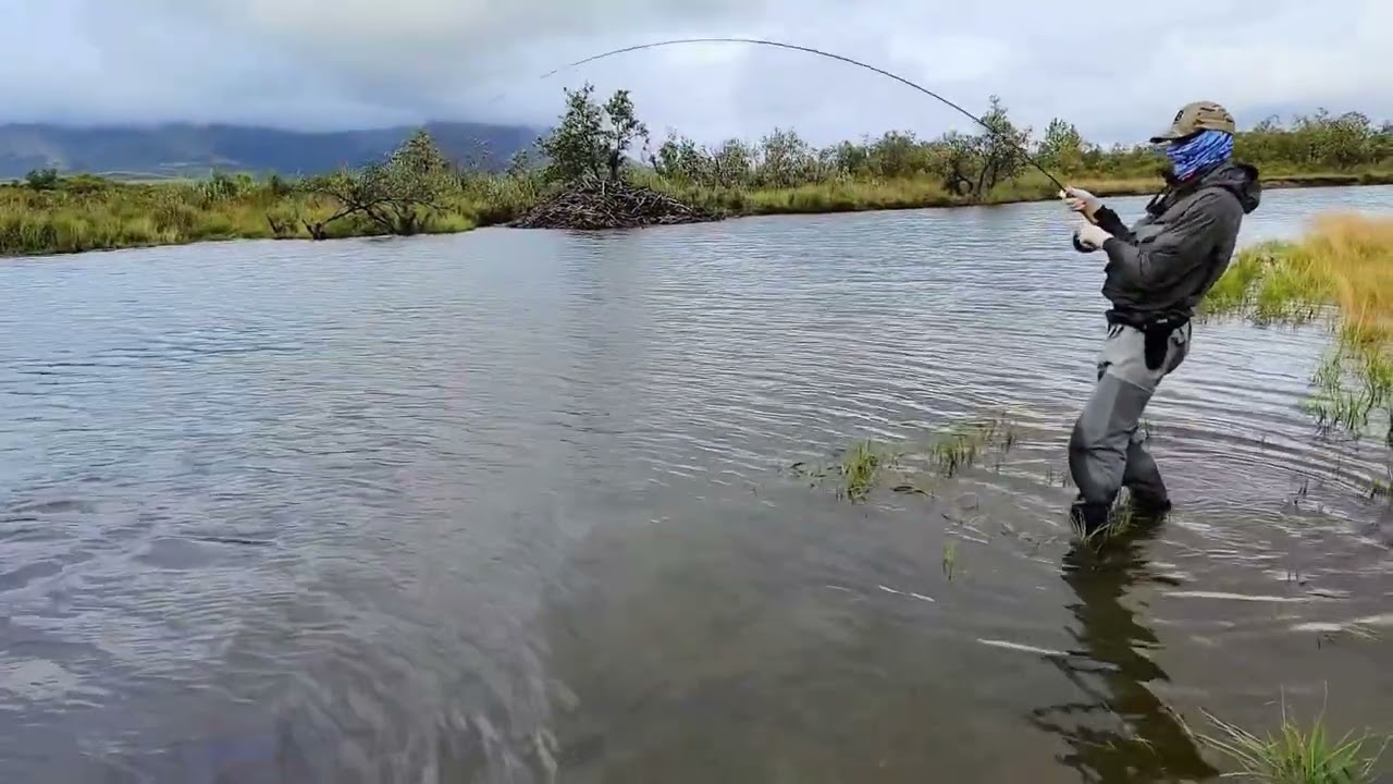 Fly fishing the Goodnews River in Alaska 