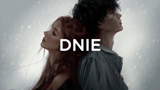 DNIE - No Thanks (Lyrics) screenshot 5