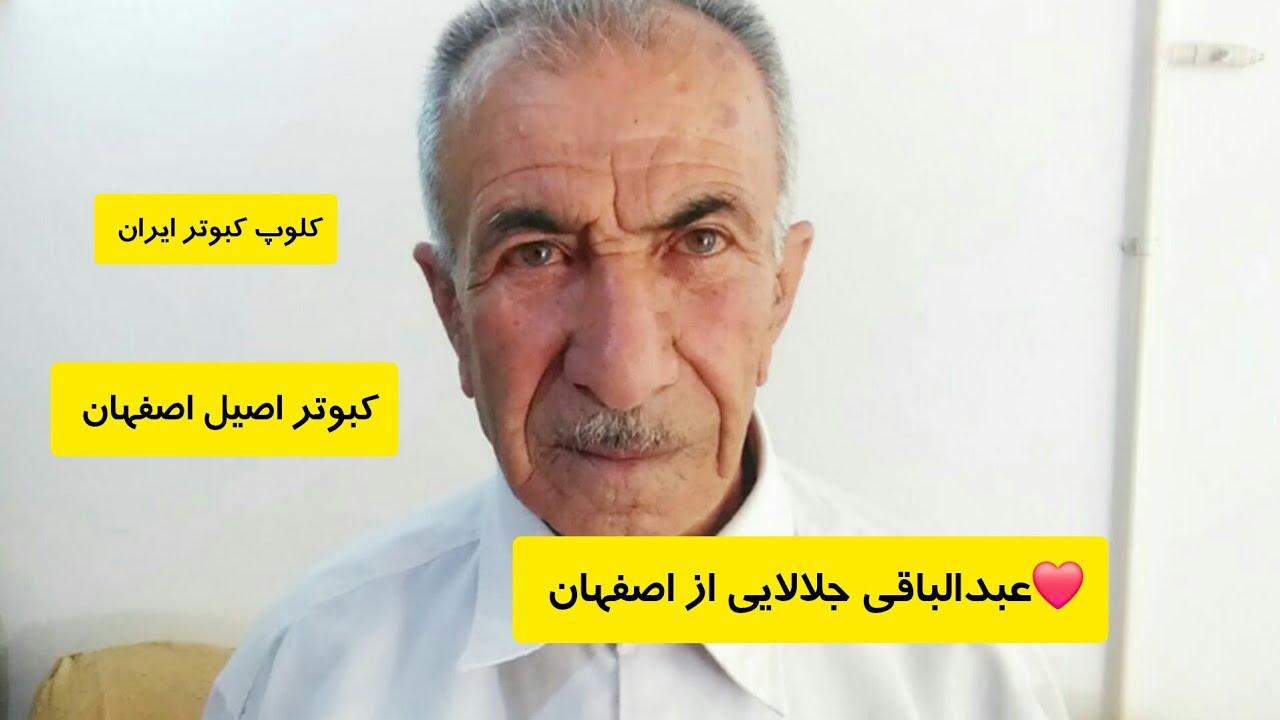 ❤️مصاحبه و گزارش از آقای عبدالباقی جلالایی از اصفهان در باره کبوتر بدرنگ