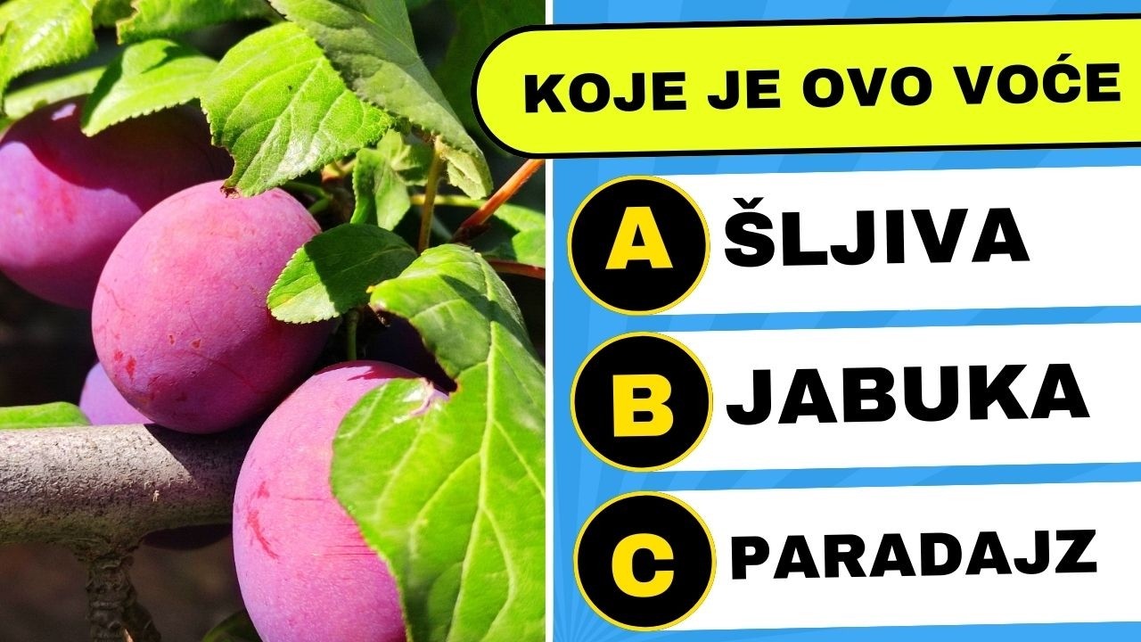 POGODI VOĆE SA SLIKE 🍓 Ultimativni Kviz Od 50 Pitanja! 🍍