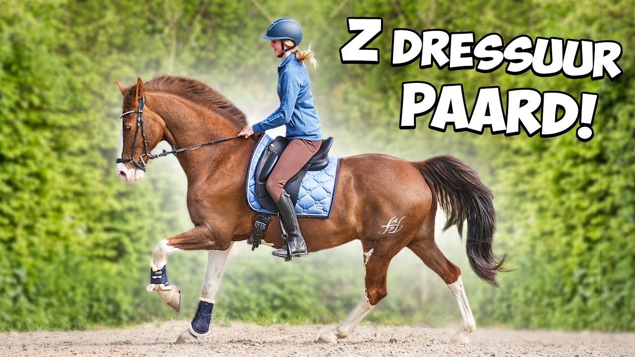 Ik mag op een Z DRESSUURPAARD RIJDEN! 🤩🏆