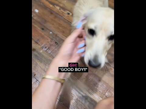 She tricked the dog… 🤫❤️
