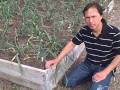 Raised Bed Construction Ideas - Wood , Concrete and Rip Rap? A Visit to a Local Community Garden Raised Bed Construction Ideas - Wood , Concrete and Rip Rap? A Visit to a Local Community Garden