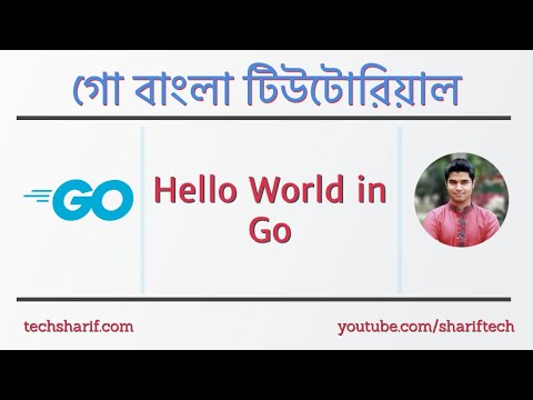 1.3.1 Hello World in Go  | go | golang | bangla