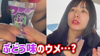 念願の「ぶどう味のウメ」買ってみました！！