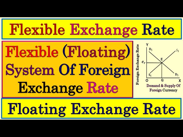 Floating Exchange Rate | Flexible Exchange Rate | Merits Of Flexible Foreign Exchange Rate | Macro