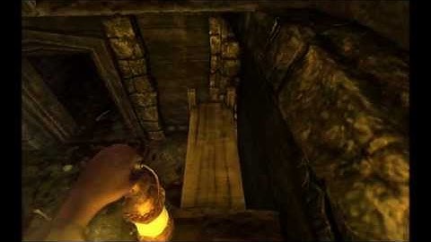 Amnesia - Brutes brutality !