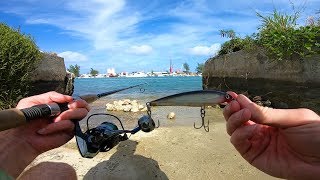 Touristy Urban Island Fishing Experience  Nassau Bahamas