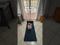 POV: Your Baby Actually Does Yoga 😂 #baby #dad #dadlife #family #parenting
